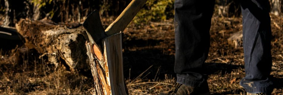 person in black jacket and pants holding brown wooden stick